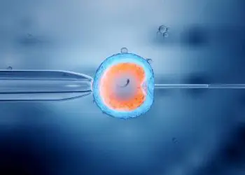Israel volverá a permitir la fertilización in vitro para mujeres mayores de 39 años