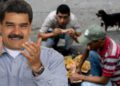 Hambruna se disparará en Venezuela, Siria y Yemen en los próximos meses
