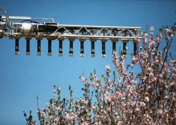 Tecnología israelí de polinización mecánica brinda esperanza ante la disminución de abejas