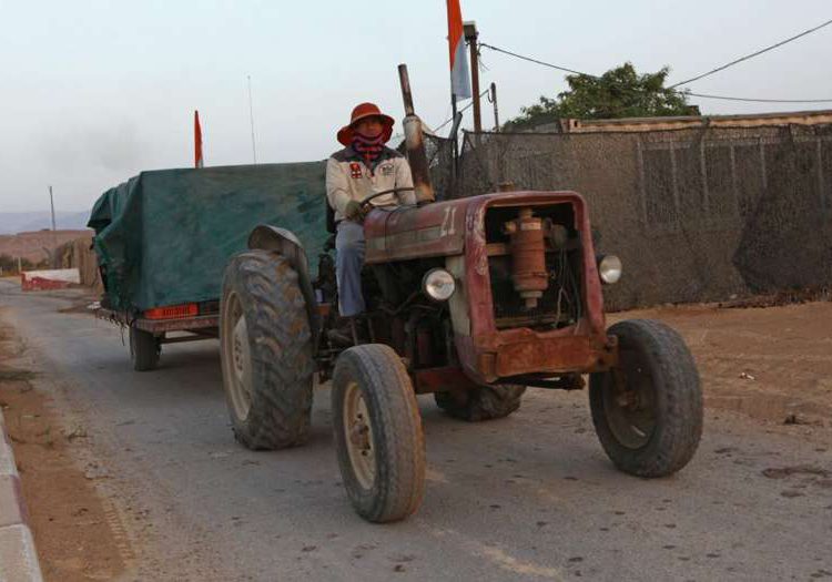 Agricultores israelíes celebrarán fin de arrendamiento de tierras a Jordania