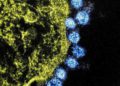 Científicos de Israel crean filtro de aire capaz de capturar y destruir cepas de coronavirus