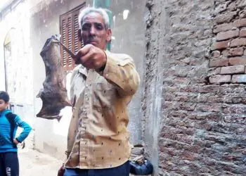 Murciélagos asedian aldea en Egipto y causan pánico en medio de la pandemia