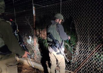 FDI detiene a migrante sudanés que intentó cruzar a Israel desde el Líbano