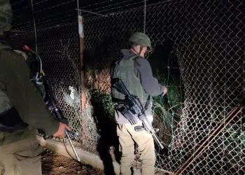 FDI detiene a migrante sudanés que intentó cruzar a Israel desde el Líbano