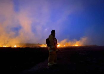 Incendios forestales en Israel en medio de histórica ola de calor