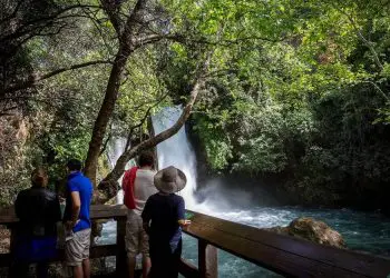Miles de israelíes visitan parques nacionales a medida que disminuyen casos de COVID-19