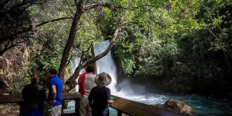 Miles de israelíes visitan parques nacionales a medida que disminuyen casos de COVID-19