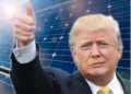 Trump aprueba el proyecto solar más grande en la historia de Estados Unidos