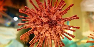 Coronavirus ha cobrado la vida de al menos 1.300 judíos en Francia