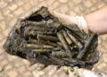 Armas jordanas de 1967 encontradas en excavación arqueológica en el Muro Occidental