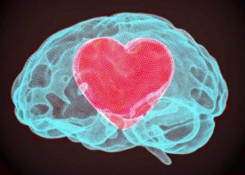 La “hormona del amor” no siempre lleva a un “felices para siempre”, según científicos israelíes