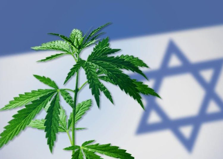 Ministerio de Salud de Israel introduce radicales reformas en materia de cannabis