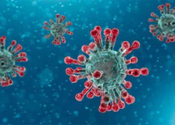 Una mutación genética marginal en el coronavirus que causa la COVID-19 aumenta significativamente la capacidad del virus para infectar las células, según los experimentos de laboratorio llevados a cabo por Scripps Research.