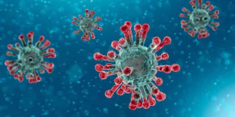 Una mutación genética marginal en el coronavirus que causa la COVID-19 aumenta significativamente la capacidad del virus para infectar las células, según los experimentos de laboratorio llevados a cabo por Scripps Research.