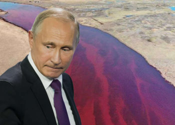 La ira de Putin por el mayor derrame de petróleo en el Ártico