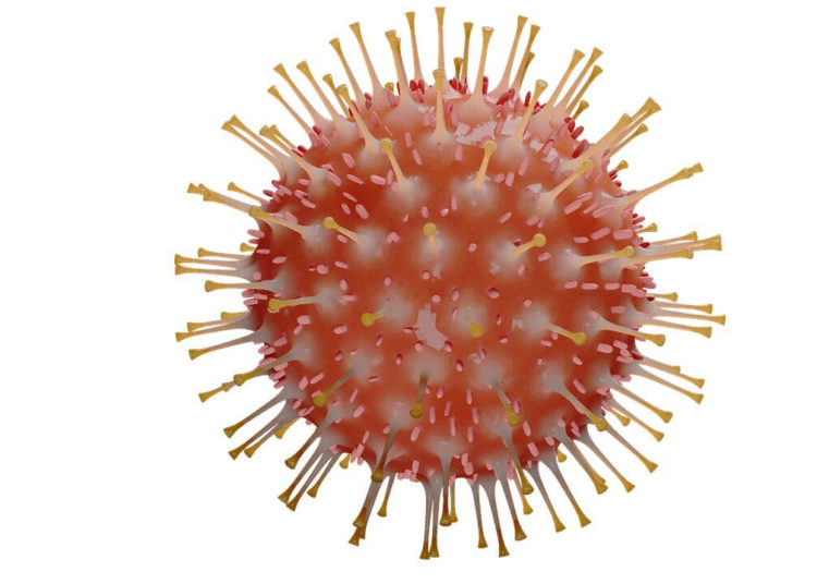 Especialista afirma que el coronavirus se está debilitando: “Podría desaparecer solo”