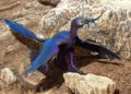 Científicos israelíes identifican la primera prueba de muda de plumas en un dinosaurio volador