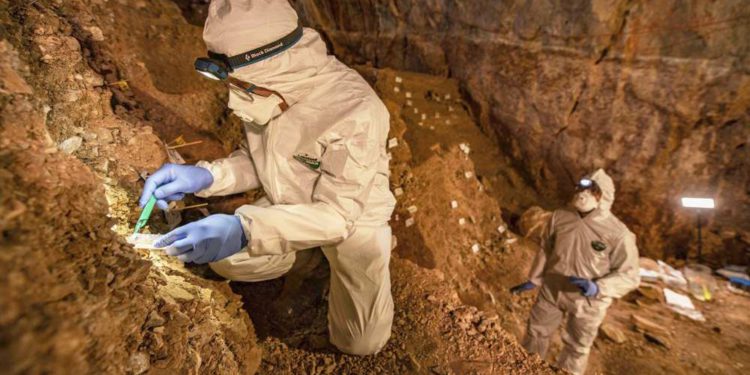 Hallazgo arqueológico sugiere presencia humana en Norteamérica hace más de 26.000 años