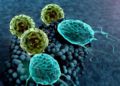 La inmunidad al coronavirus dura tres meses, según nuevo estudio