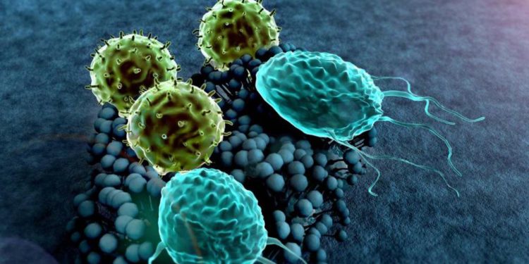 La inmunidad al coronavirus dura tres meses, según nuevo estudio