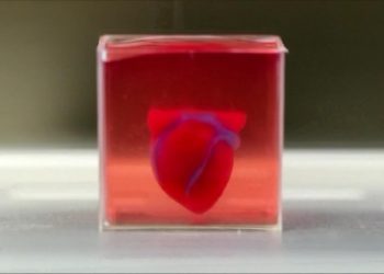 Universidad de Tel Aviv prueba drogas en tejidos del corazón humano impresos en 3D