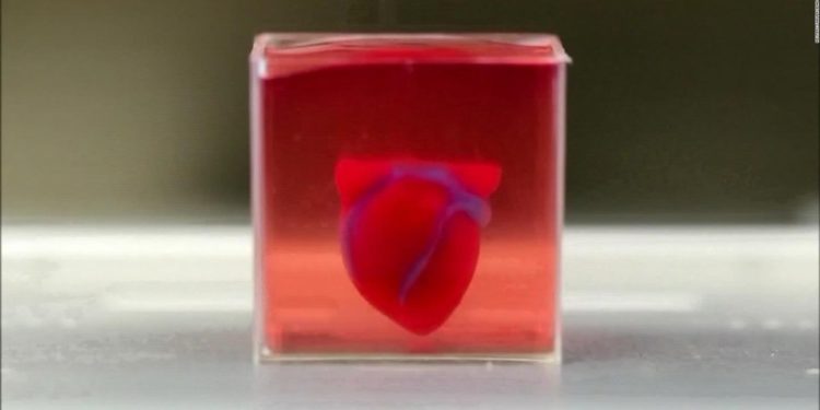 Universidad de Tel Aviv prueba drogas en tejidos del corazón humano impresos en 3D