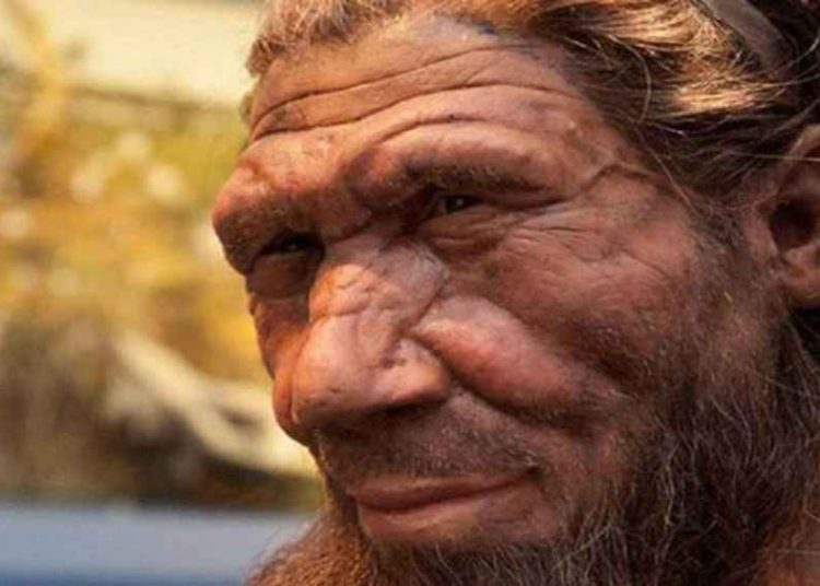 Factor de riesgo genético del coronavirus fue heredado de los Neandertales