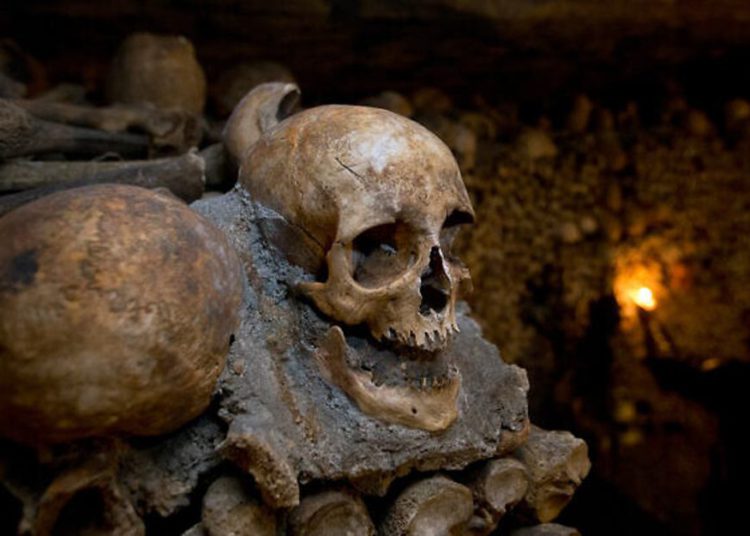 Cráneos históricos y otras partes del cuerpo son vendidas en Facebook