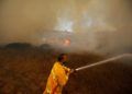 Globos incendiarios lanzados desde Gaza provocan 35 incendios en el sur de Israel
