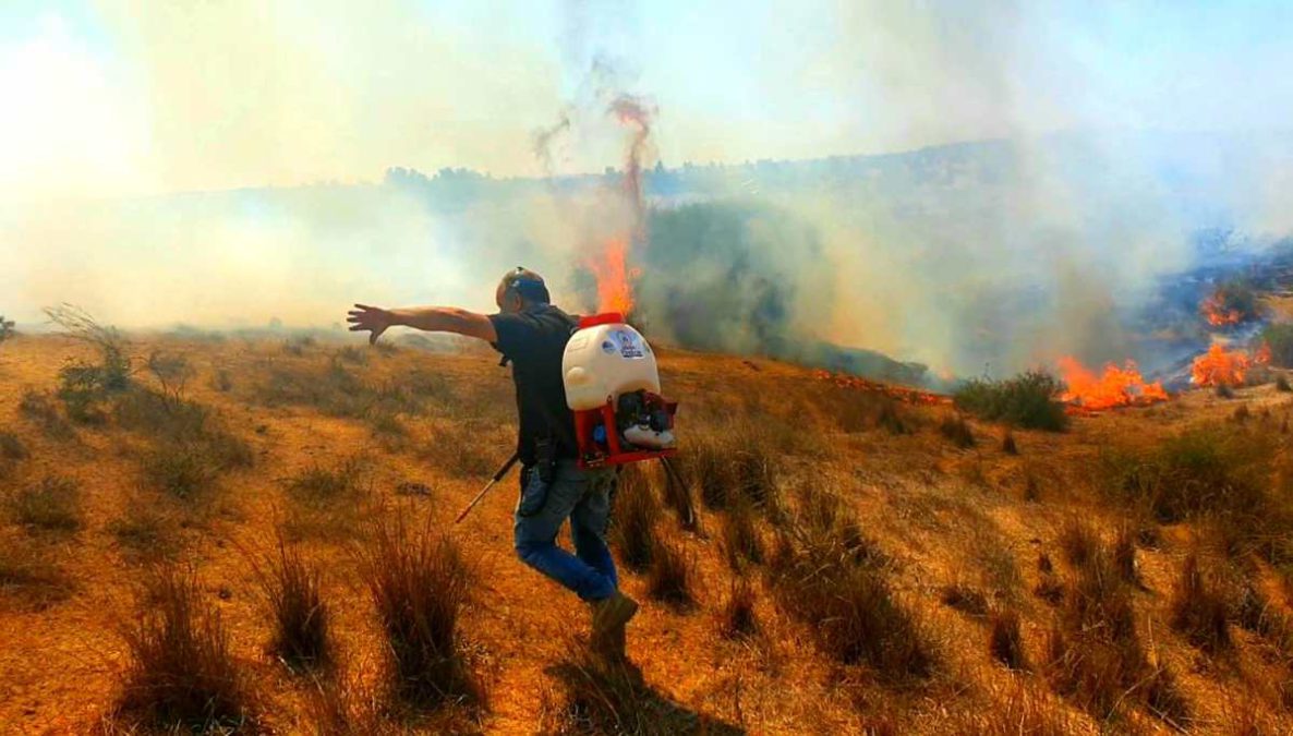 Incendio en el sur de Israel por globo inflamable de Gaza