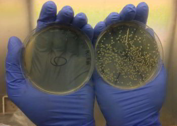 Compañía israelí crea pintura, telas y máscaras que matan bacterias