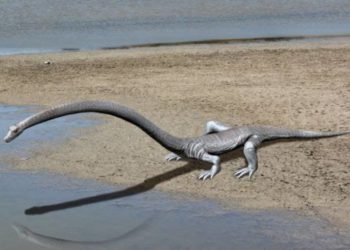 Científicos reconstruyen digitalmente el cráneo de misterioso reptil Triásico