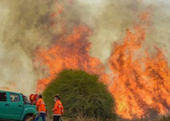 Globos incendiarios lanzados desde Gaza provocan 28 incendios en el sur de Israel