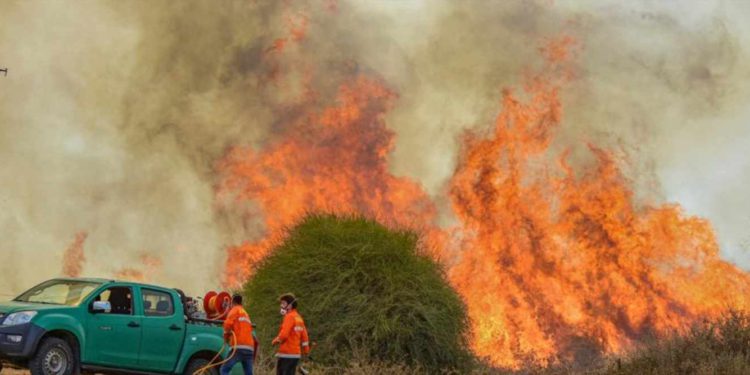 Globos incendiarios lanzados desde Gaza provocan 28 incendios en el sur de Israel
