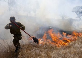 Enfrentamientos entre las FDI y Hamas causan 24 incendios en Gaza