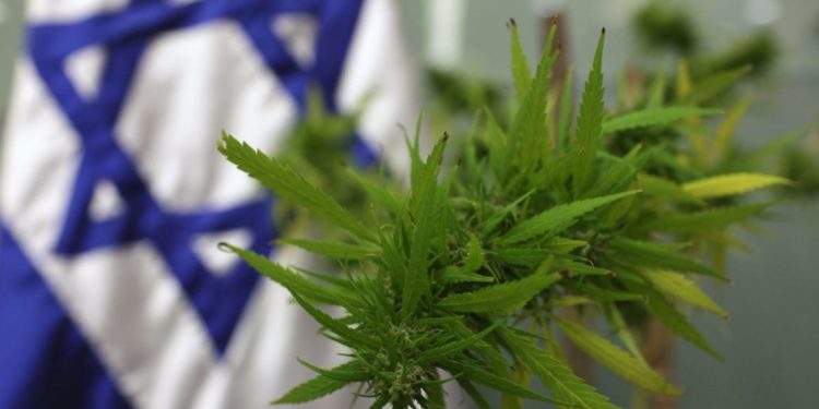 Israel impulsa las reformas de marihuana medicinal para reducir su precio en un 50%