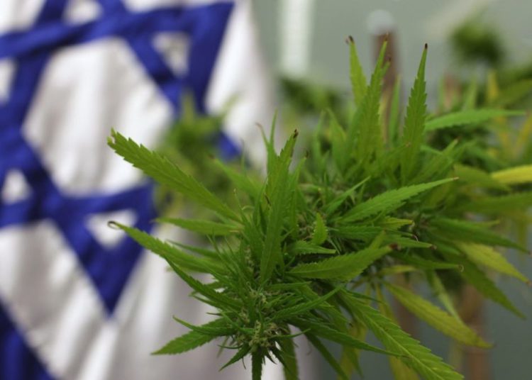 Israel impulsa las reformas de marihuana medicinal para reducir su precio en un 50%