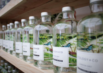 Free Spirits & Co se lanza en Israel
