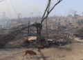 Campo de refugiados de Moria en Grecia quemado hasta los cimientos