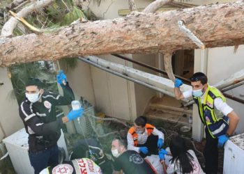 Árbol cae sobre una joven en Bnei Brak