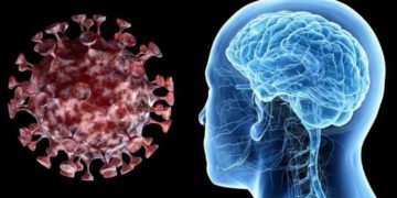¿Cómo el coronavirus puede dañar el cerebro?