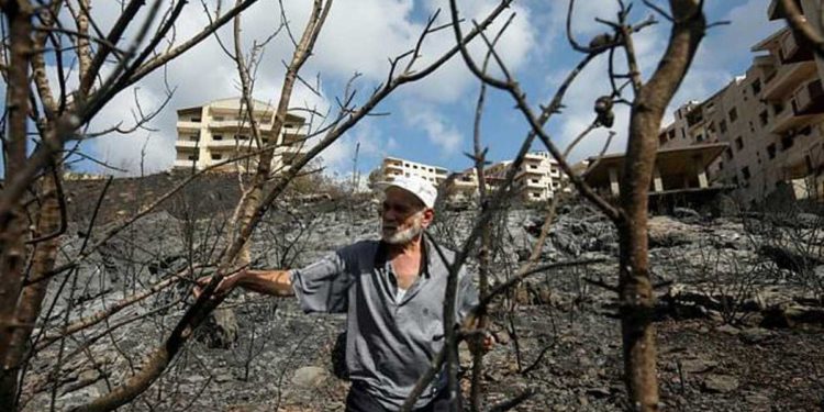 Incendios en Siria devastan medios de vida antes de cosecha