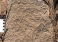 Marcador fronterizo de 1.700 años descubierto en los Altos del Golán