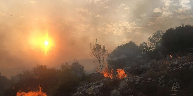 Incendios en Israel: Establecimiento de la defensa sospecha de acto terrorista