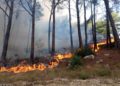 Tres muertos en incendios forestales en Siria y Líbano