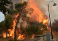 Incendios forestales mortales controlados en Siria y Líbano