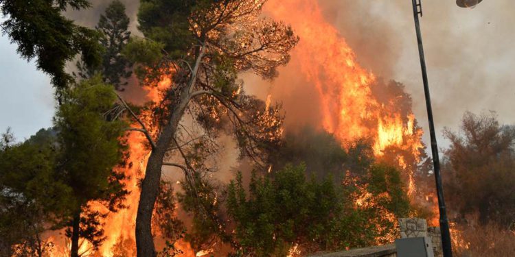 Incendios forestales mortales controlados en Siria y Líbano