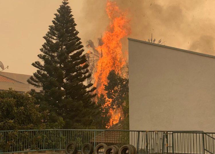 Ola de incendios en Israel: miles evacuados de sus hogares