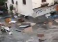 Impactantes videos del tsunami en Turquía tras el terremoto