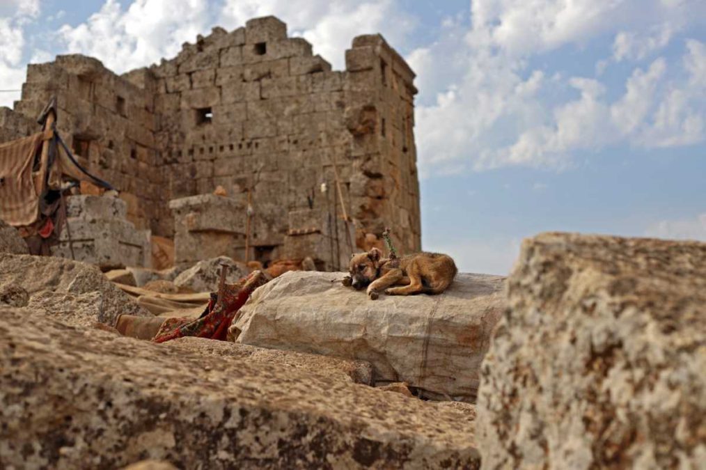 Refugiados sirios acampan en las ruinas de antiguo templo romano